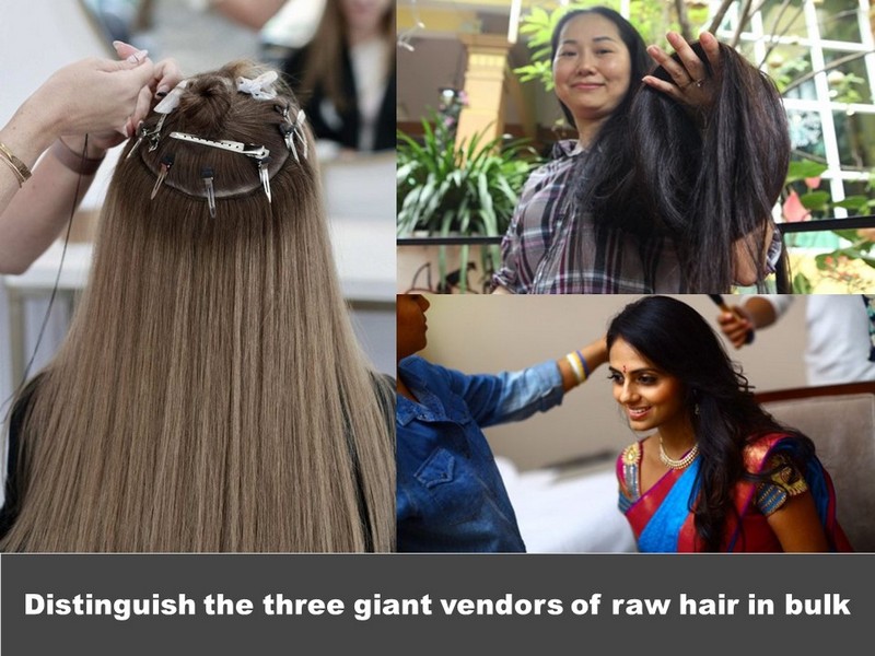 Distinguish the three most giant vendors of raw hair in bulk