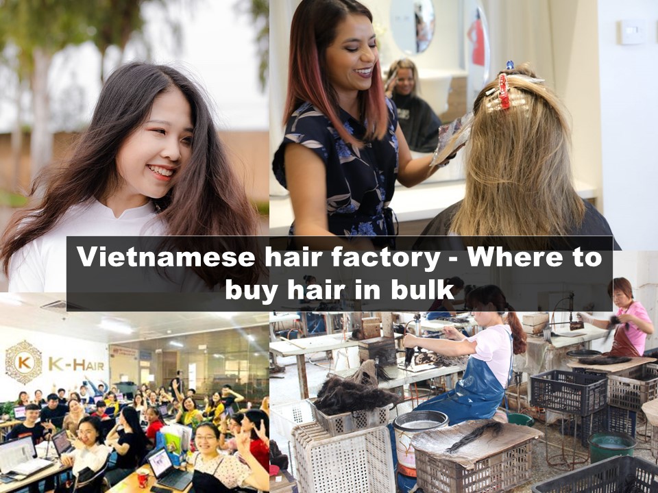 Vietnamese hair factory-Where to buy hair in bulk