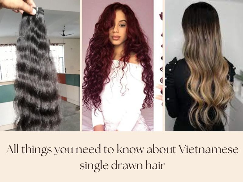 All things you need to know about Vietnamese single drawn hair