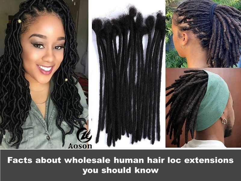 Facts about wholesale human hair loc extensions you should know