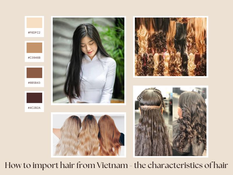 How to import hair from Vietnam - the characteristics you should know