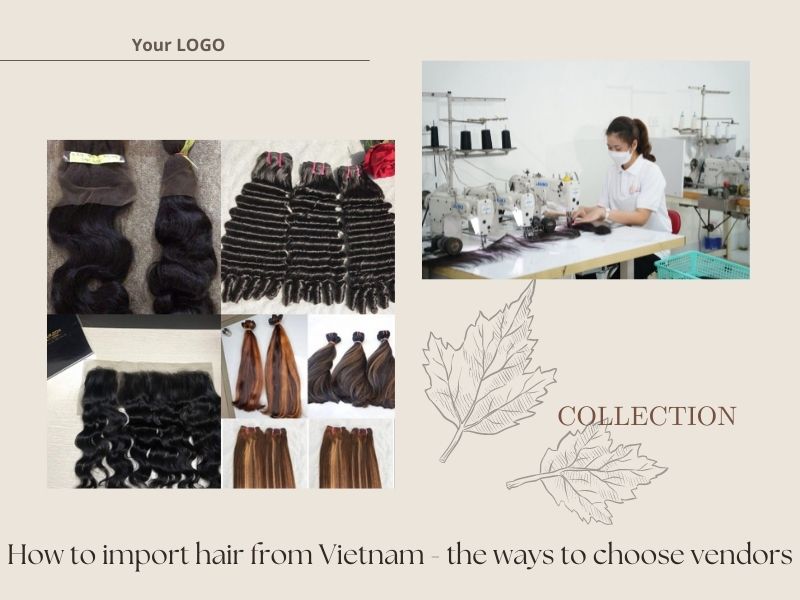 How to import hair from Vietnam - the ways to choose vendors