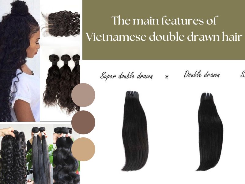 The main features of Vietnamese double drawn hair