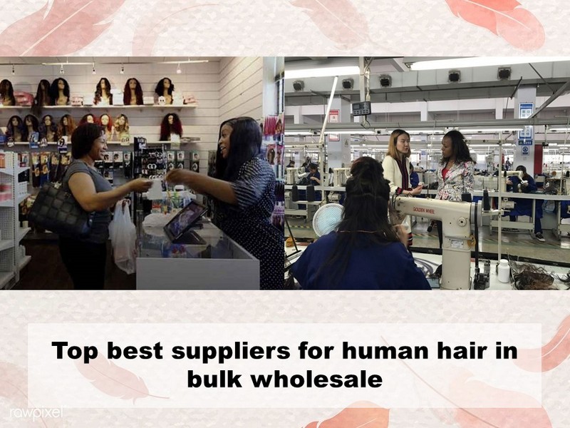 Top best suppliers for human hair in bulk wholesale in the world