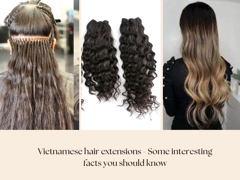 Vietnamese hair extensions - Some interesting facts you should know