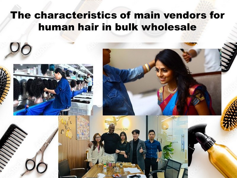 The characteristics of main vendors for human hair in bulk wholesale